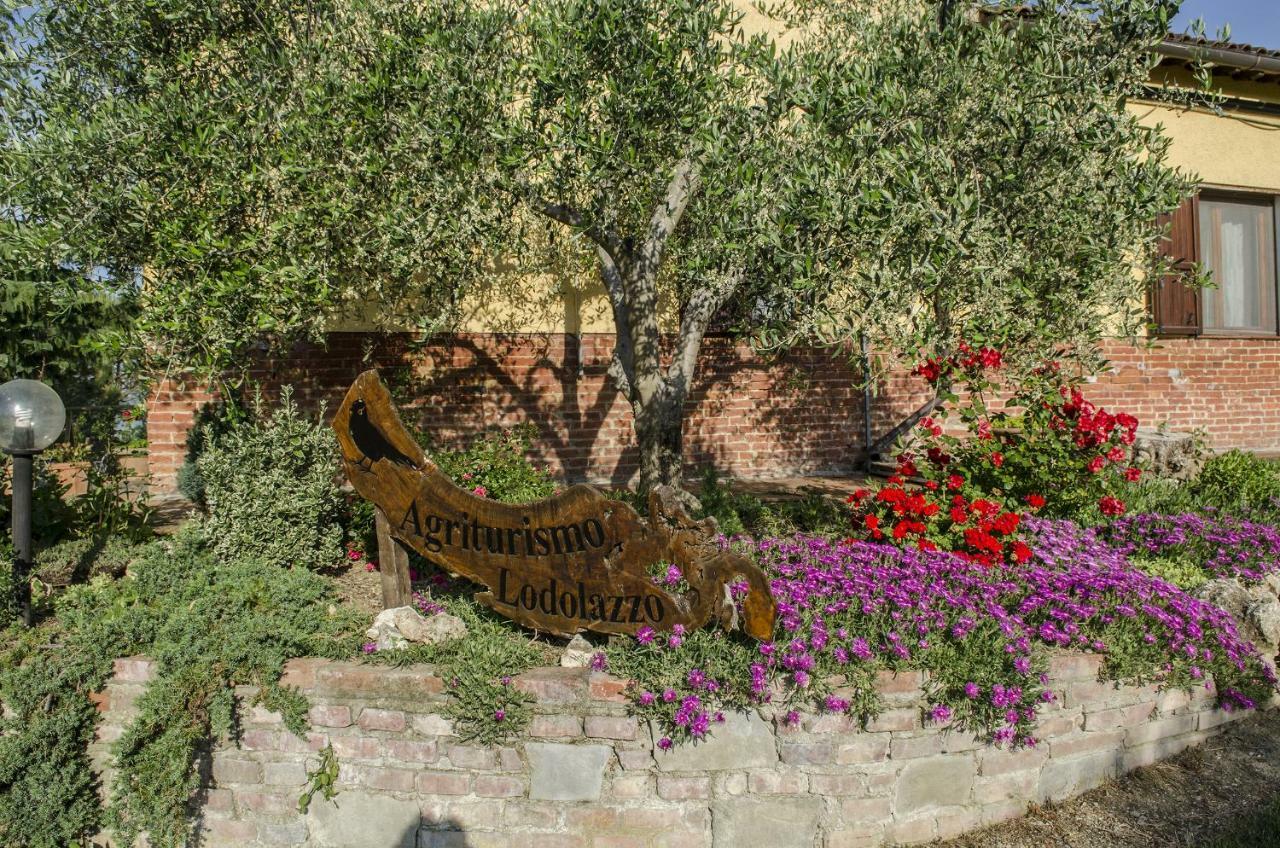 Agriturismo Lodolazzo Кортона Екстер'єр фото
